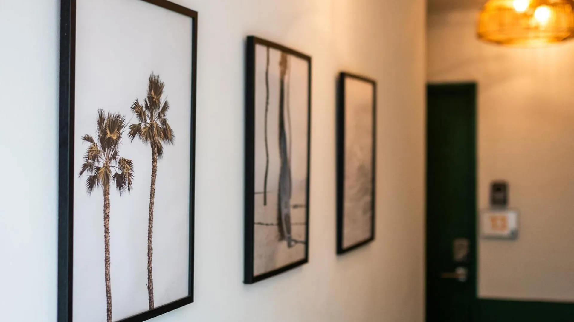 Hotel La Mona Loiza Apartment Complex By Stay With Bear San Juan