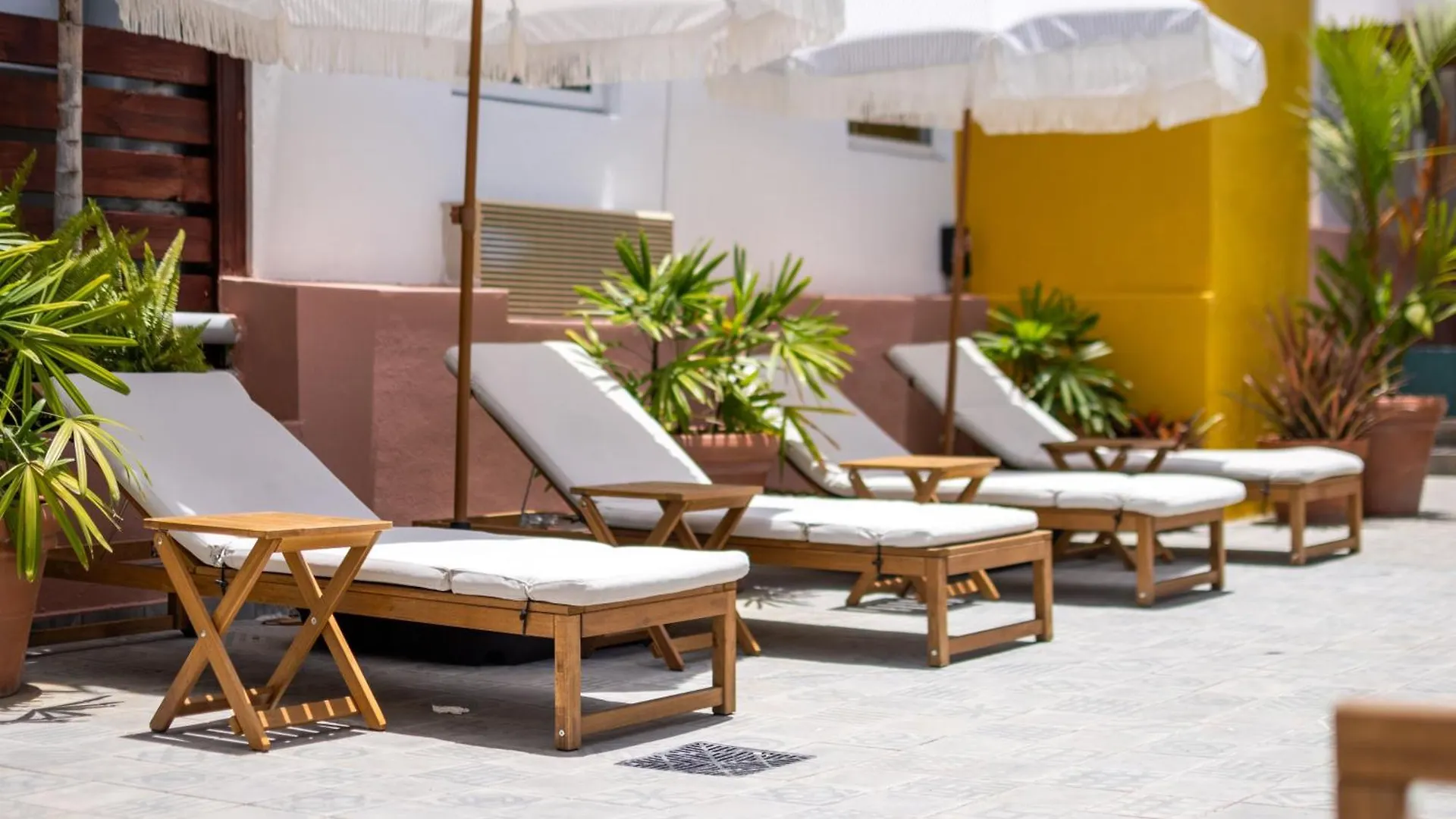 La Mona Loiza Apartment Complex By Stay With Bear San Juan