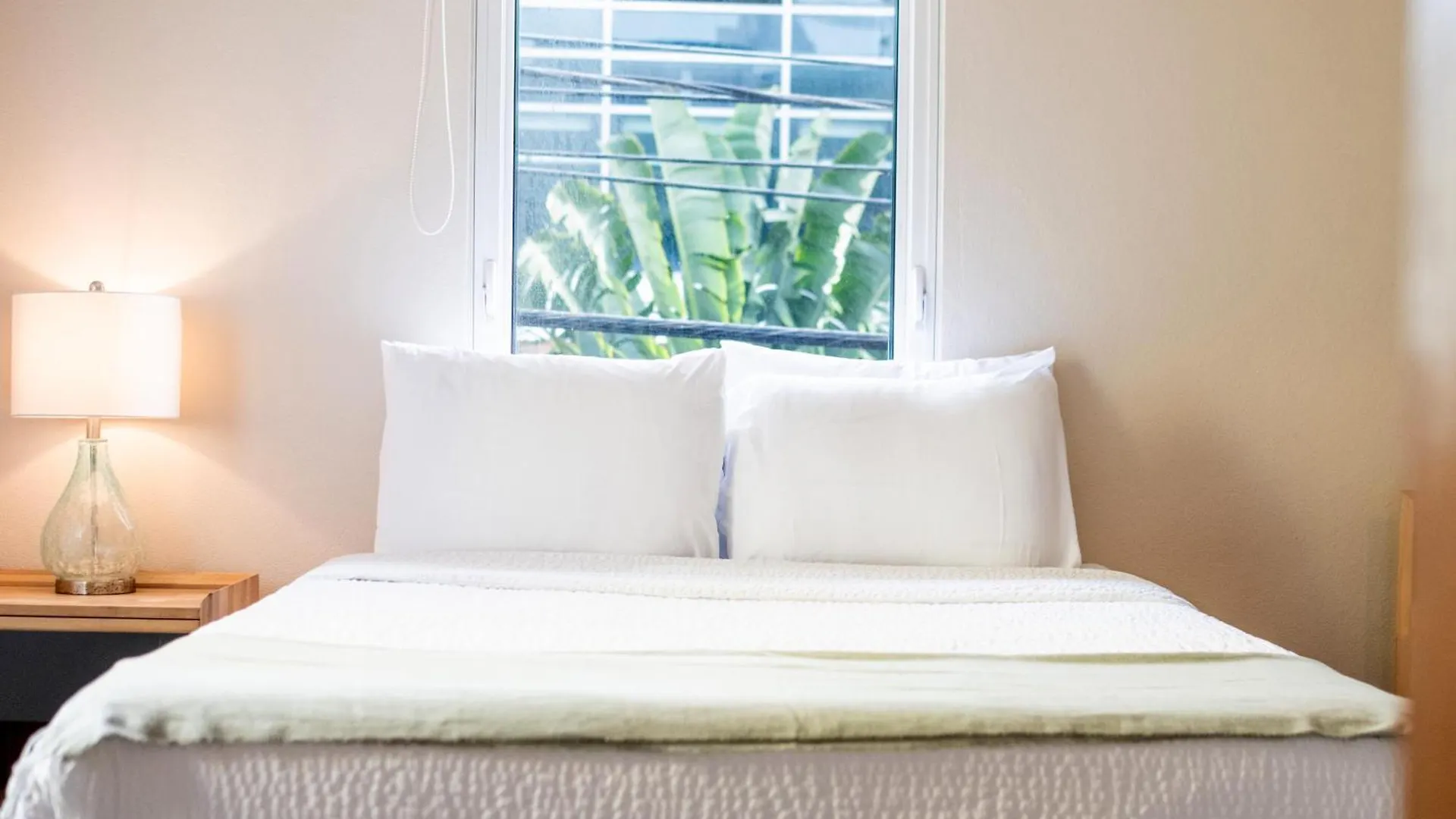 Hotel La Mona Loiza Apartment Complex By Stay With Bear San Juan