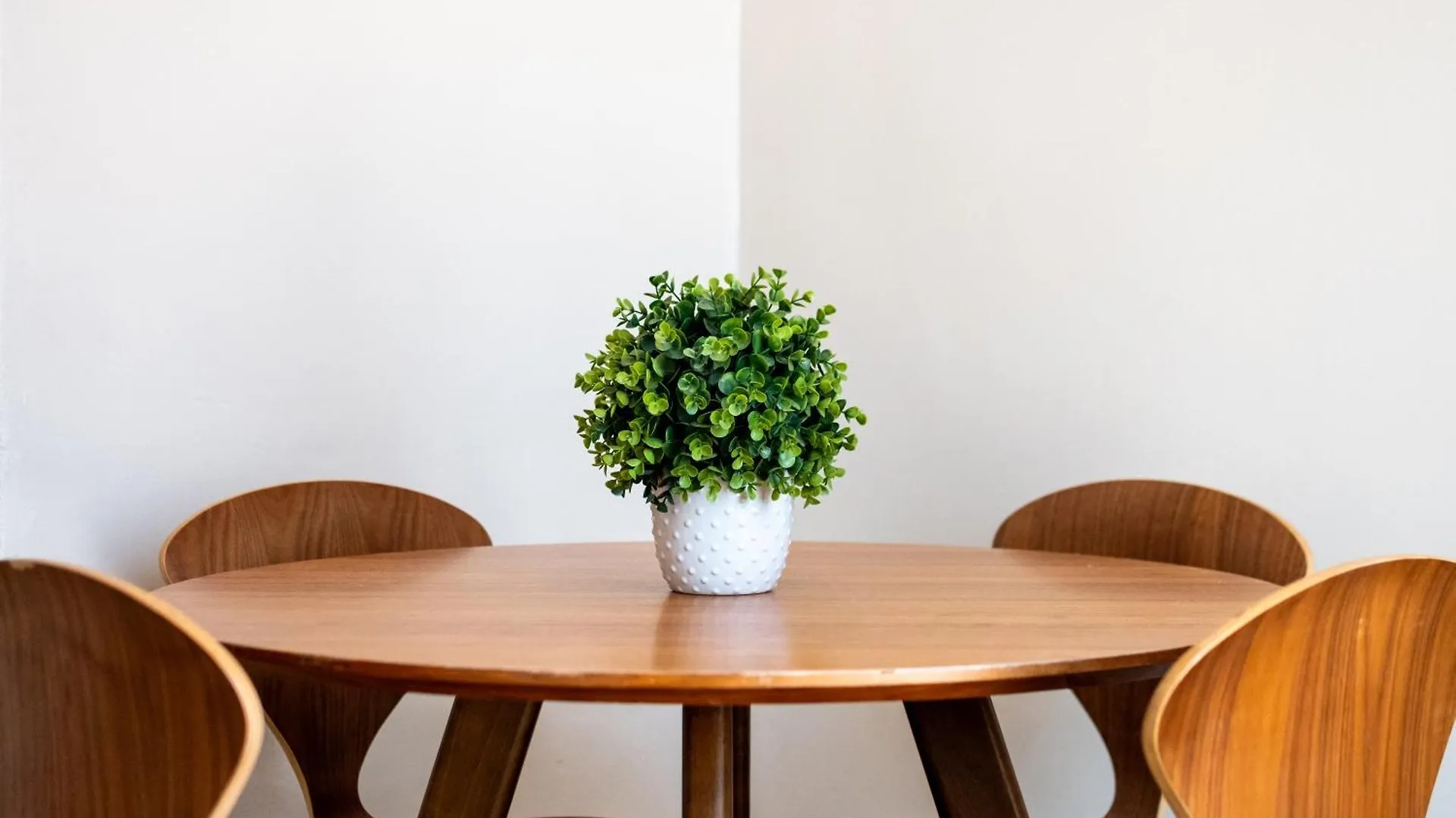 La Mona Loiza Apartment Complex By Stay With Bear San Juan Hotel