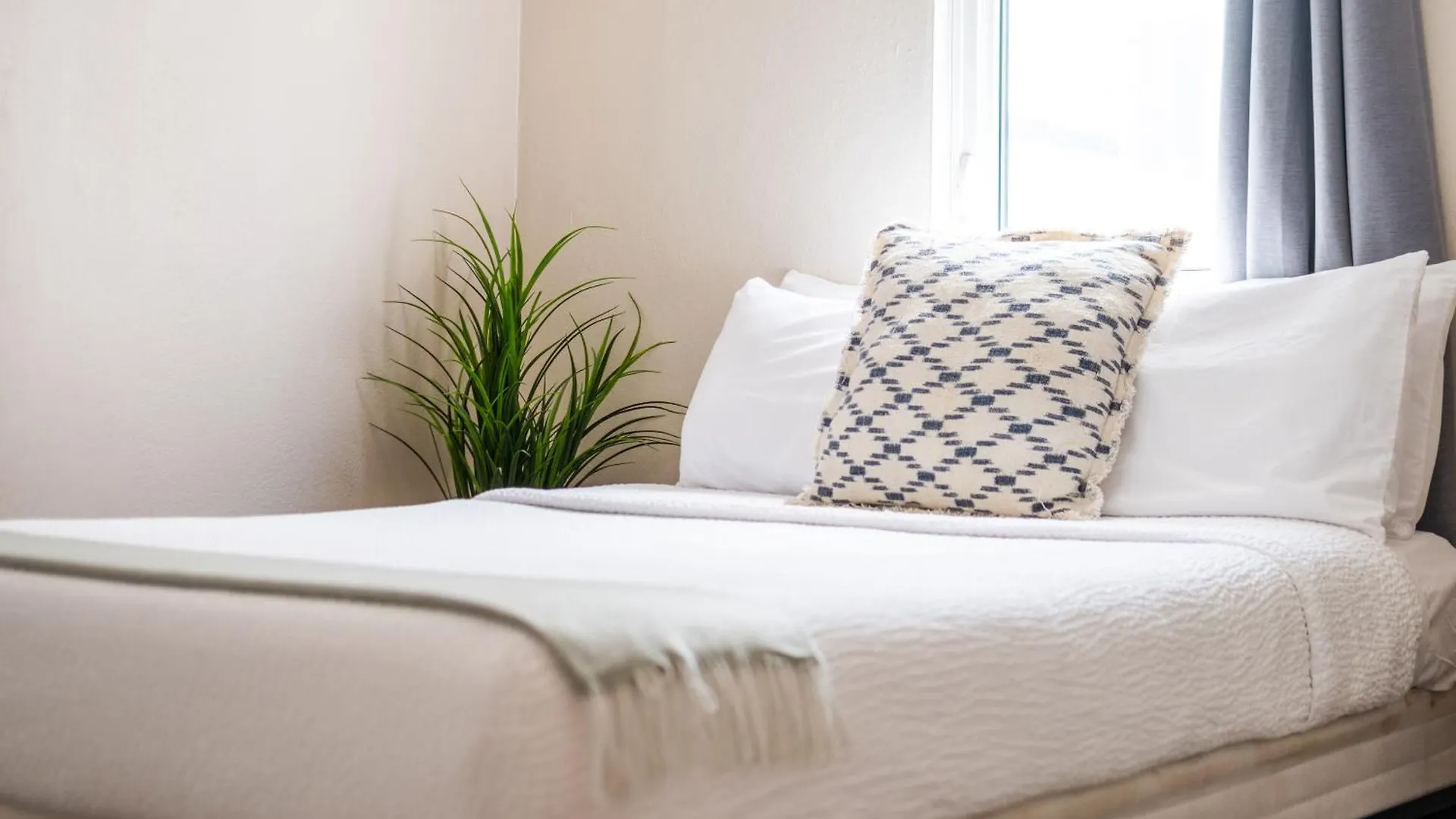 *** Hotel La Mona Loiza Apartment Complex By Stay With Bear San Juan Puerto Rico